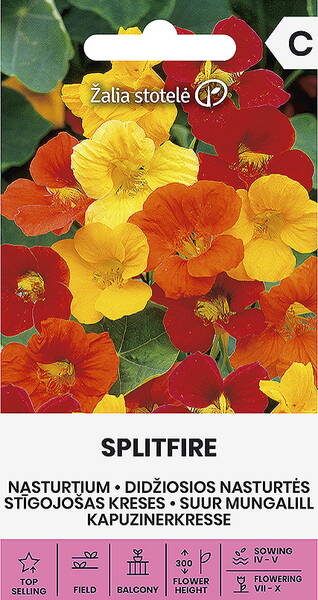 Nasturtium "Splitfire" (Climbing mix)